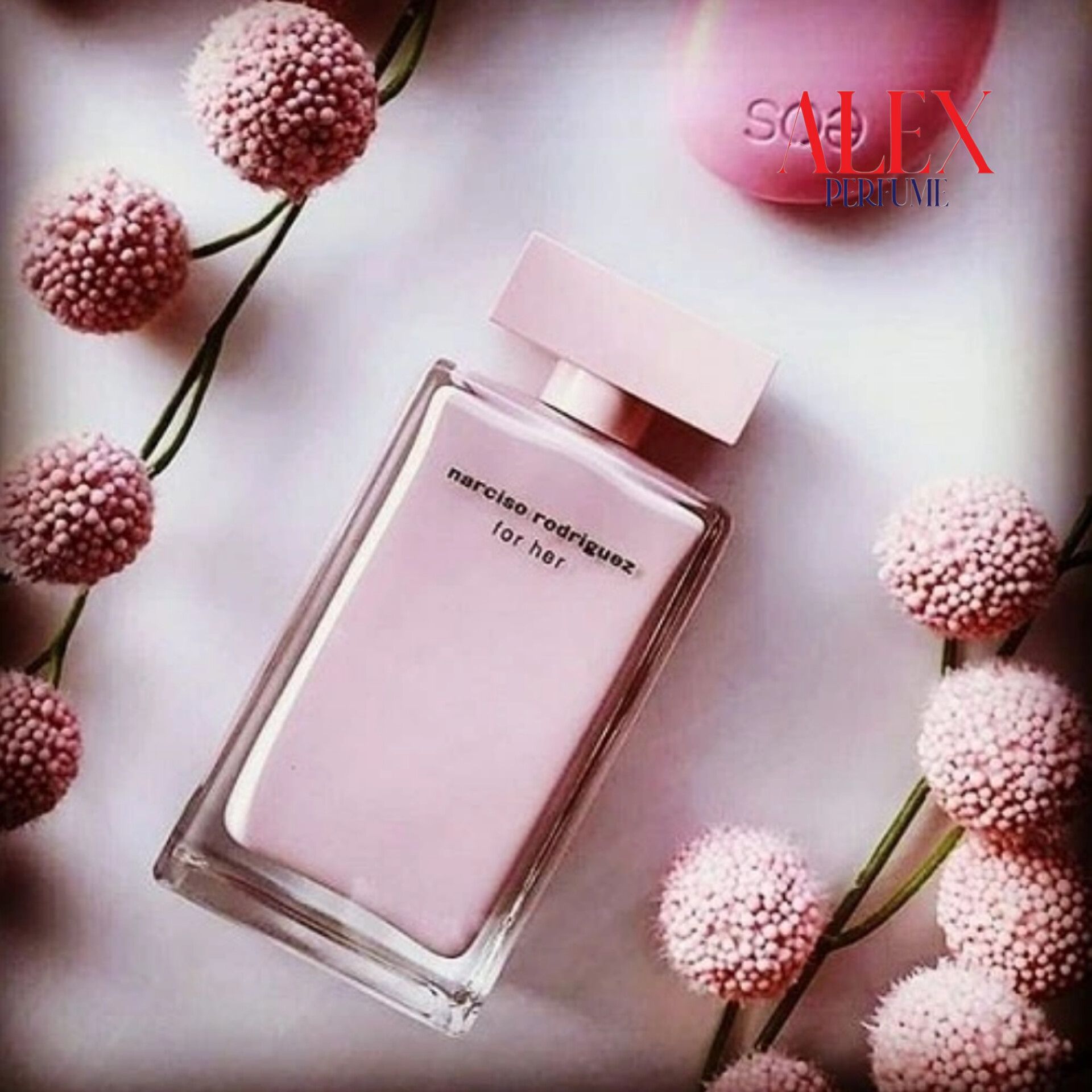 InShot_20240206_160601097