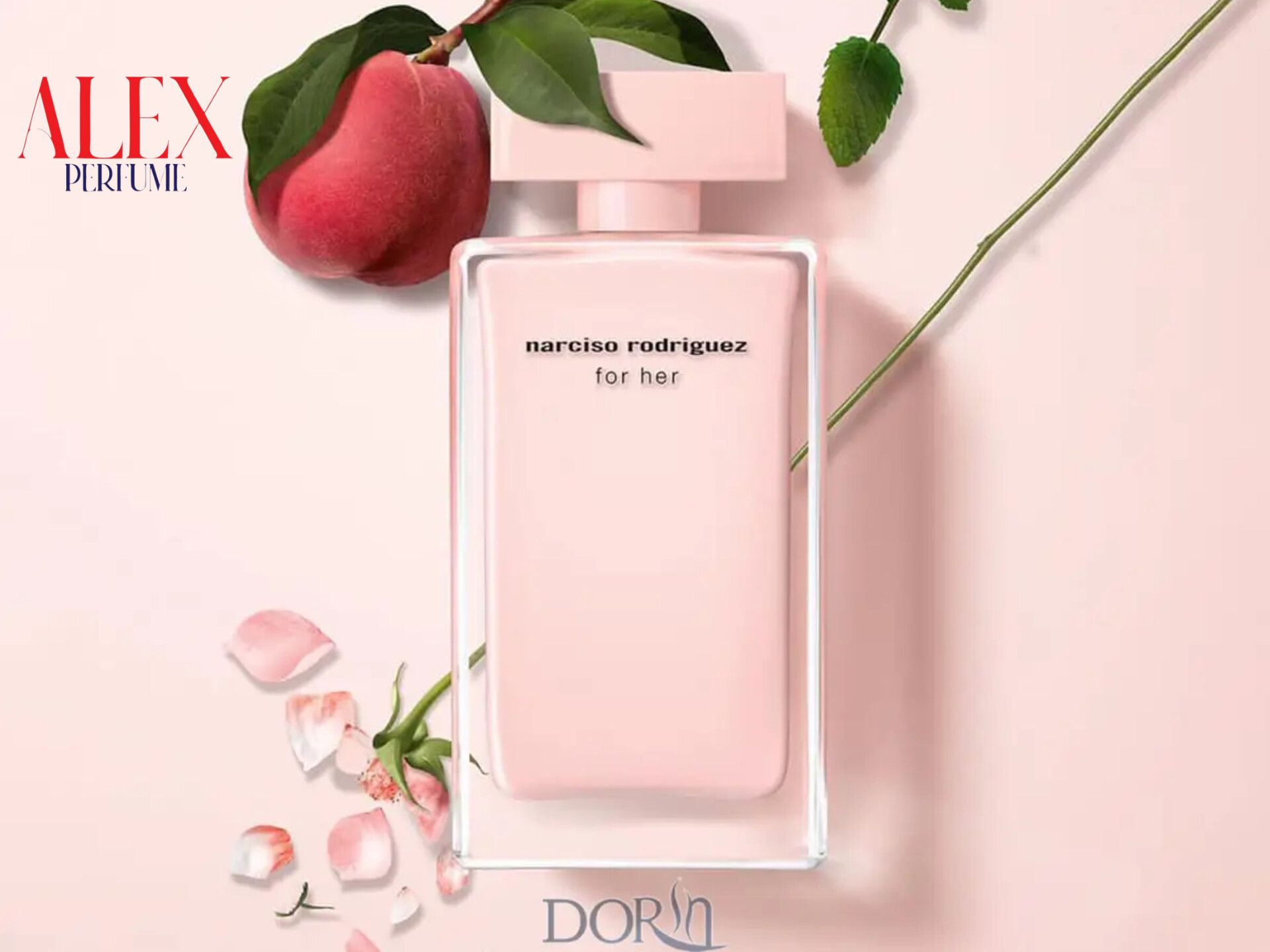 InShot_20240206_160618604